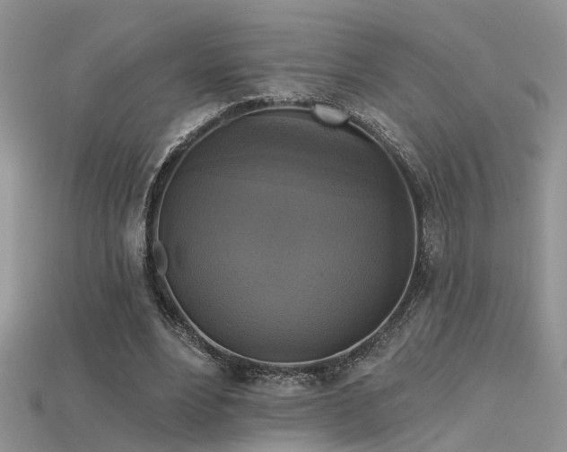 X0000115670488200911121156