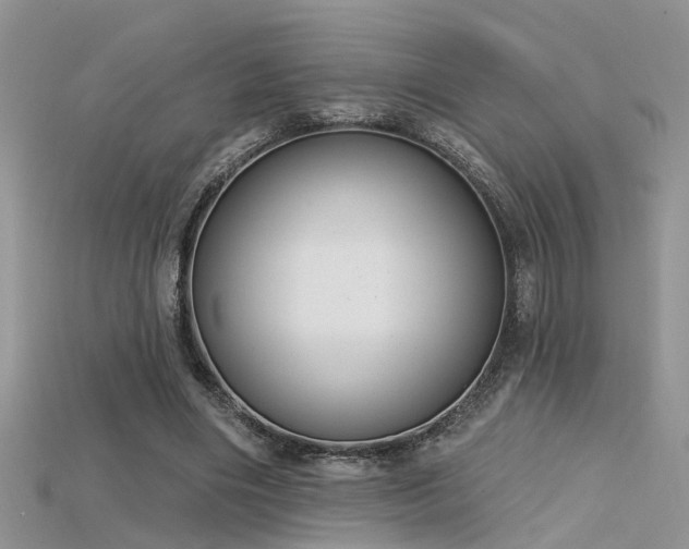 X0000115670490200911121156