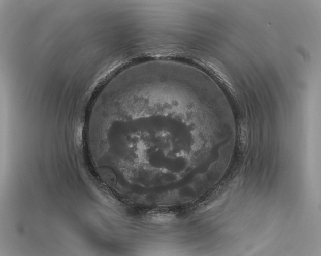 X0000115670491200911121156