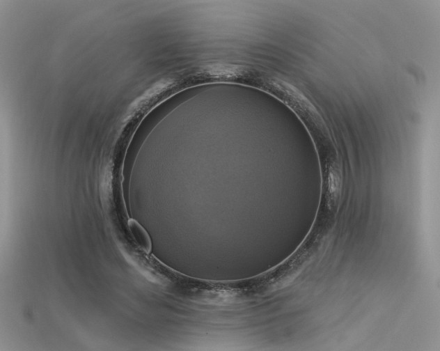 X0000115670492200911121156