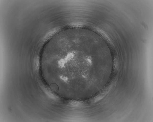 X0000115670494200911121156
