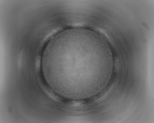 X0000115670495200911121156