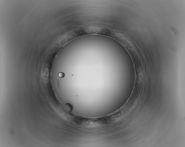 X0000115670498200911121156