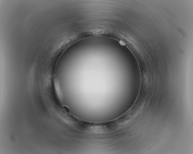X0000115670499200911121156