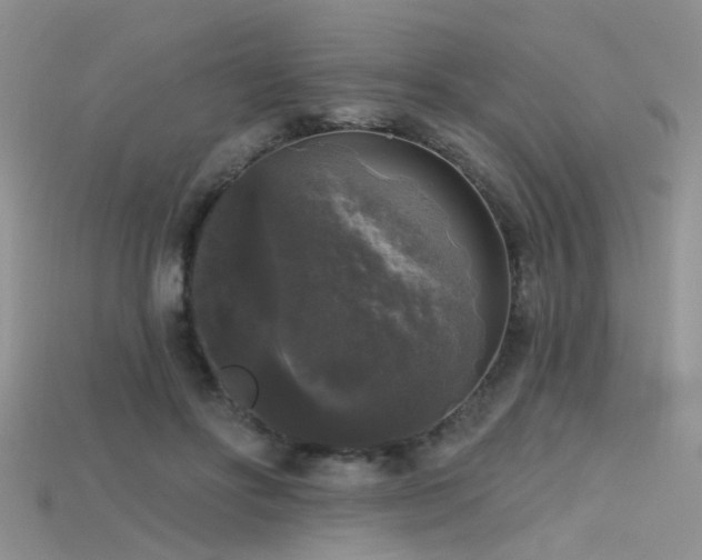 X0000115670502200911121156