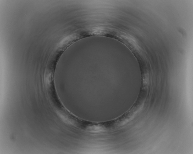 X0000115670503200911121156