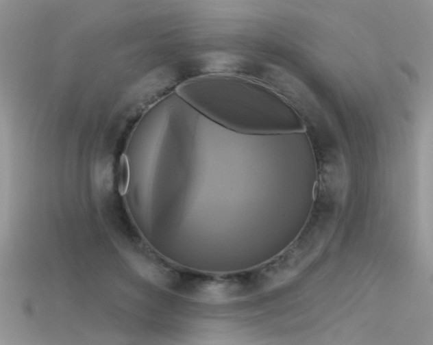 X0000115670504200911121156