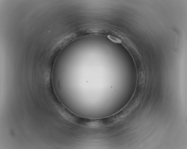X0000115670505200911121156