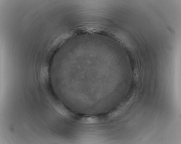 X0000115670506200911121156