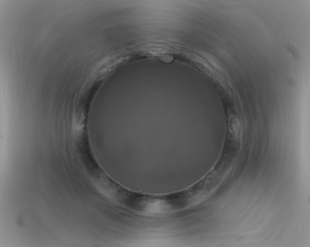 X0000115670507200911121156