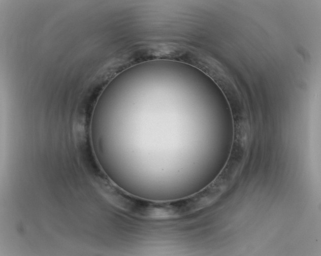 X0000115670510200911121156