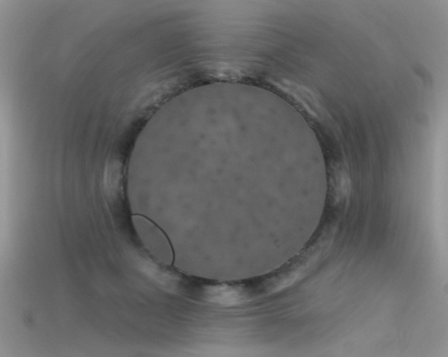 X0000115670511200911121156