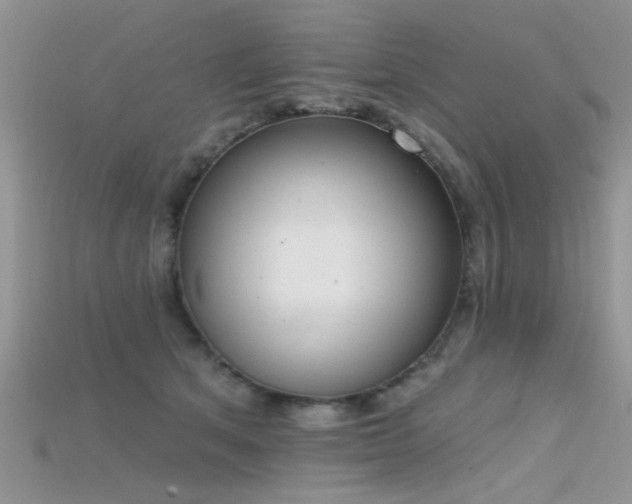 X0000115670513200911121156
