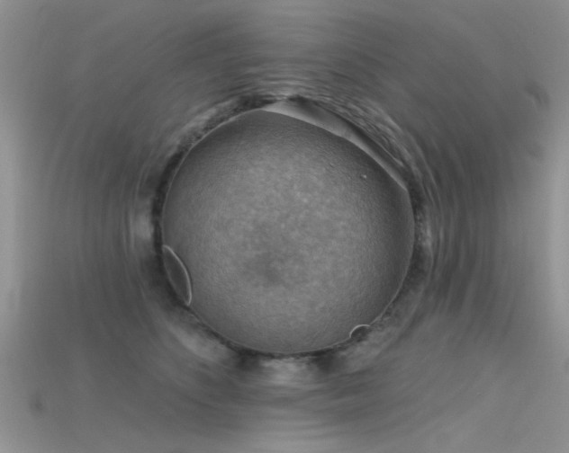 X0000115670516200911121156