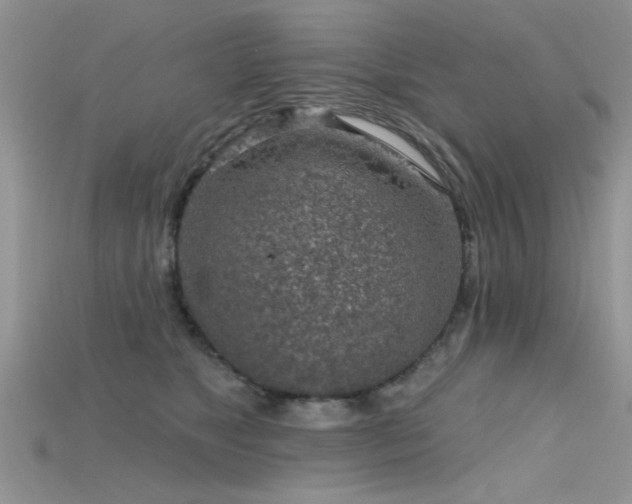 X0000115670517200911121156