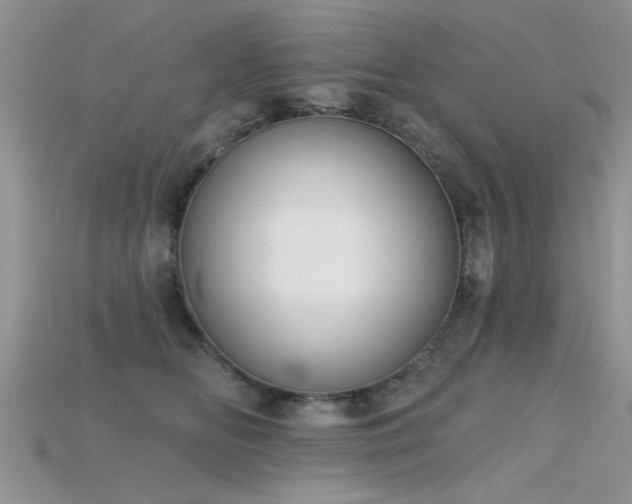 X0000115670518200911121156