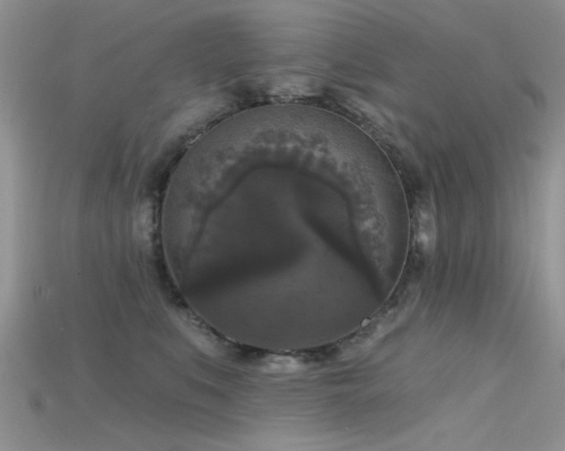 X0000115670519200911121156