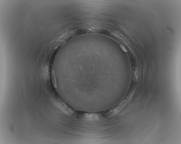 X0000115670520200911121156