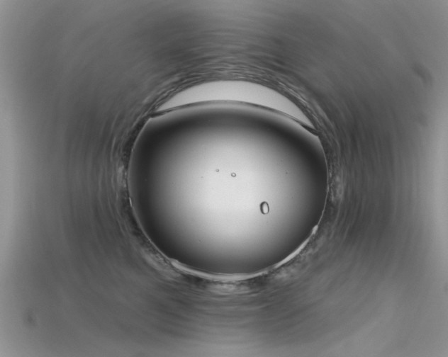 X0000115670521200911121156
