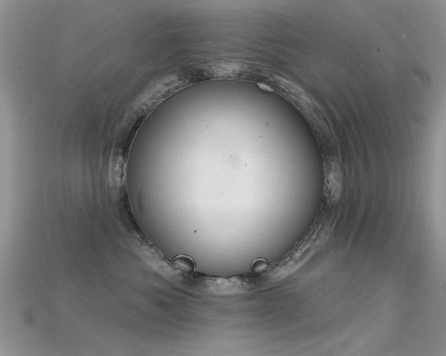 X0000115670525200911121155