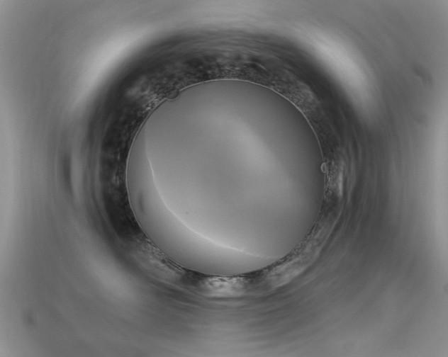 X0000115670526200911121155