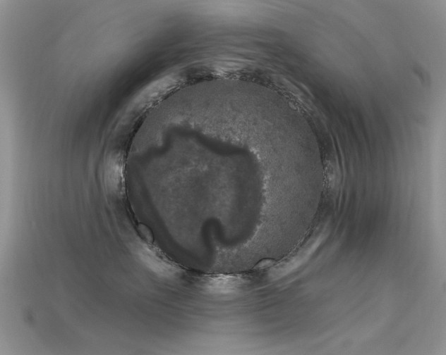 X0000115670527200911121155