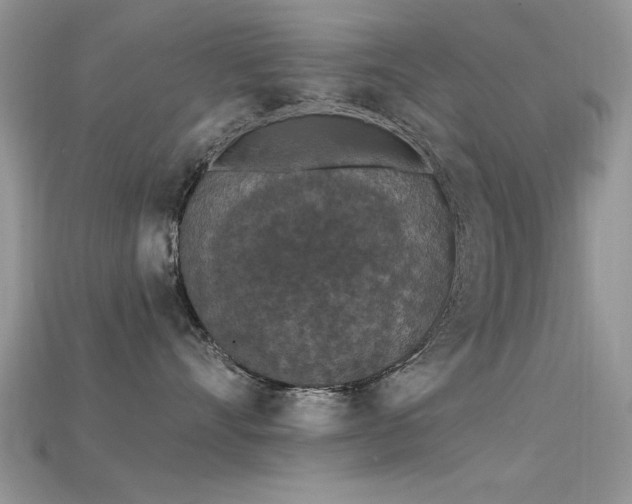 X0000115670528200911121155