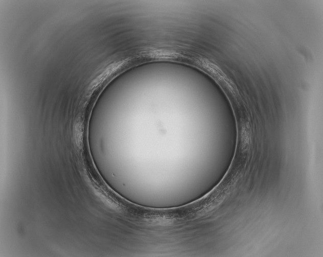 X0000115670533200911121155