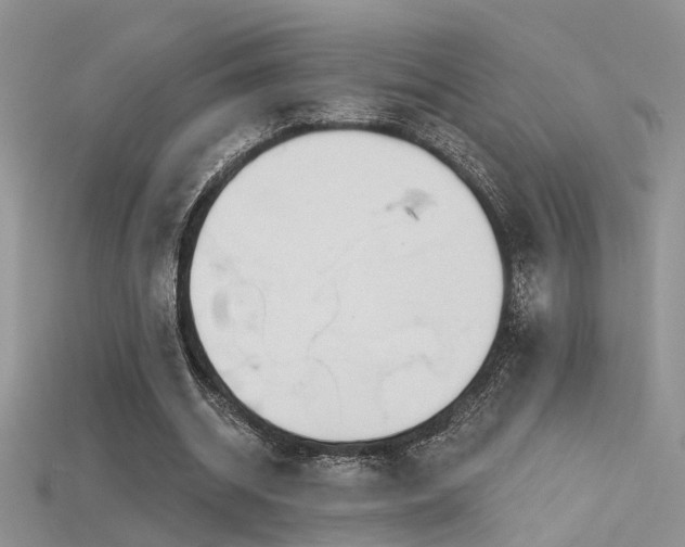 X0000115670534200911121155