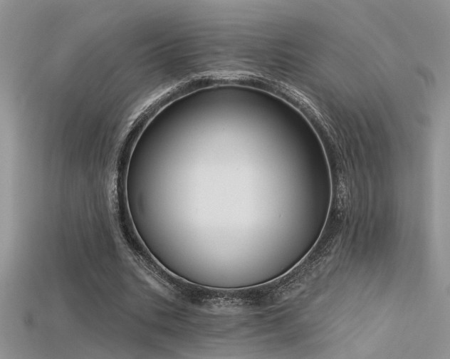 X0000115670535200911121155