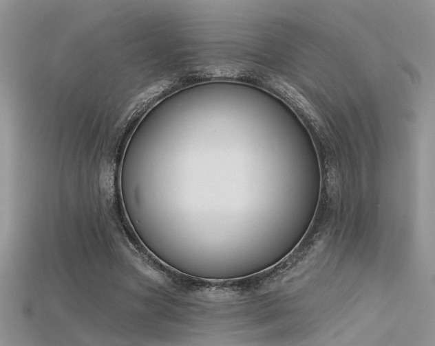 X0000115670537200911121155