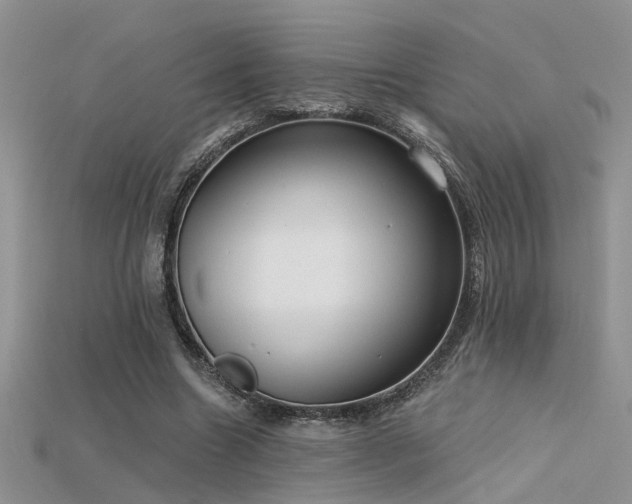 X0000115670538200911121155