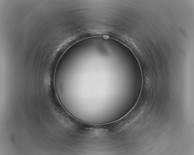 X0000115670539200911121155