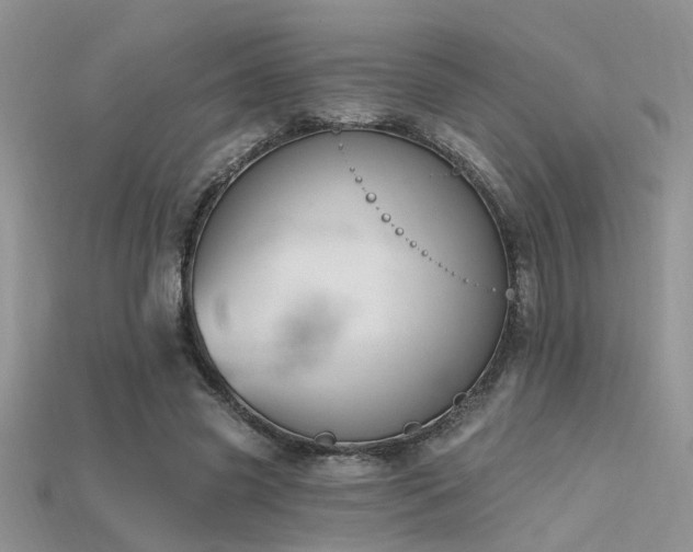 X0000115670541200911121155