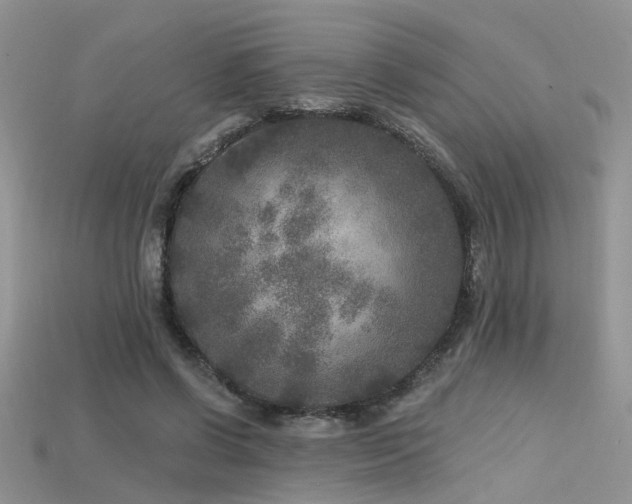 X0000115670542200911121155