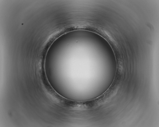 X0000115670543200911121155
