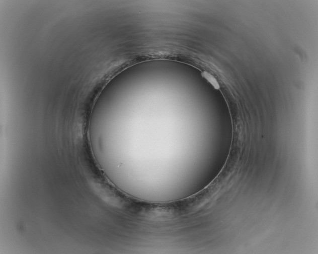 X0000115670546200911121155