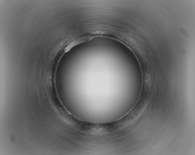X0000115670547200911121155