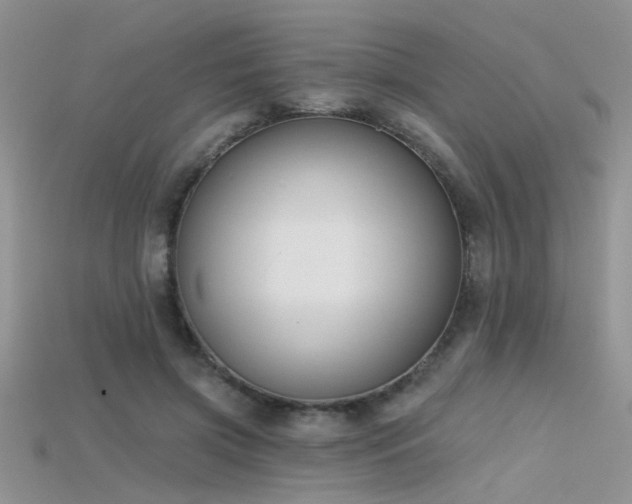 X0000115670549200911121155