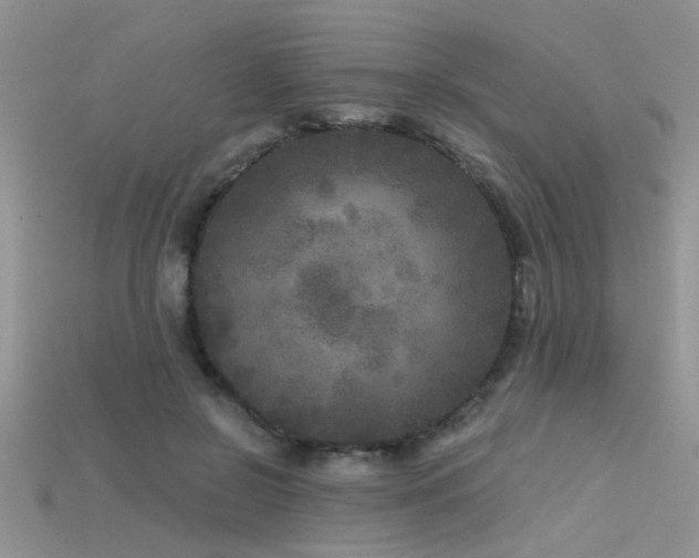 X0000115670550200911121155
