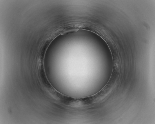 X0000115670551200911121155