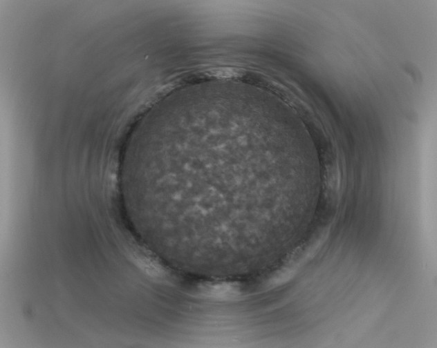X0000115670553200911121155