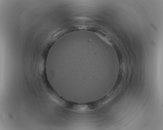 X0000115670554200911121155