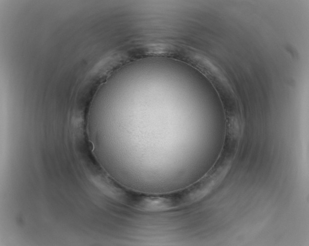 X0000115670557200911121155