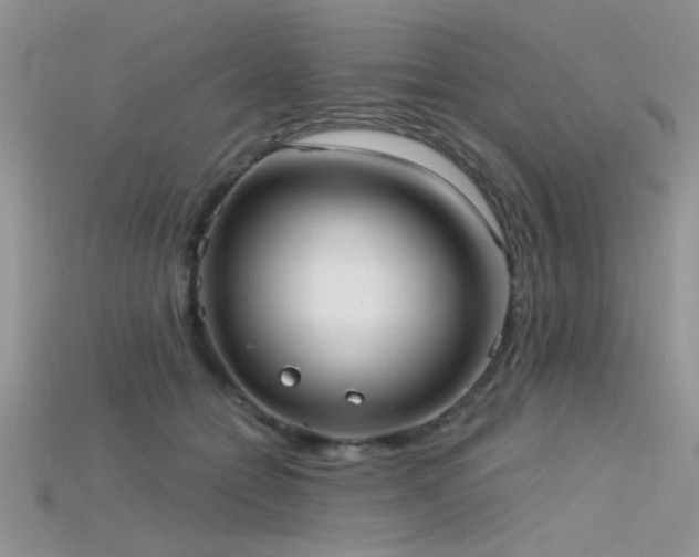 X0000115670558200911121155