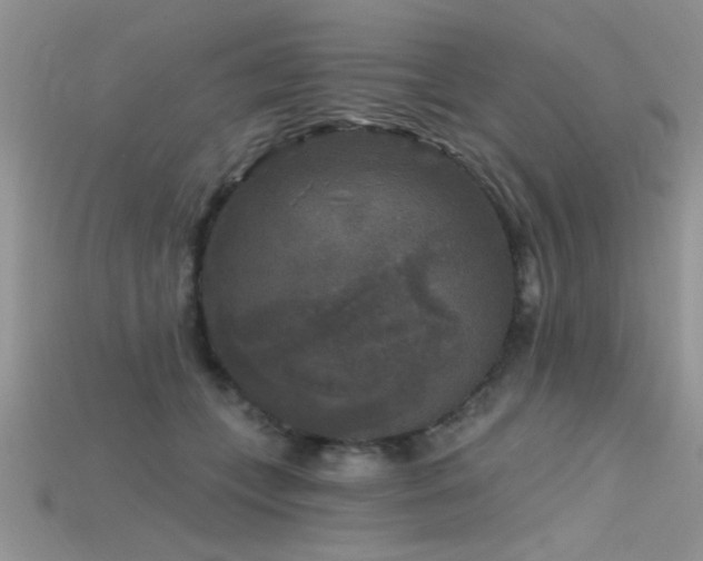 X0000115670559200911121155