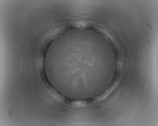 X0000115670561200911121155