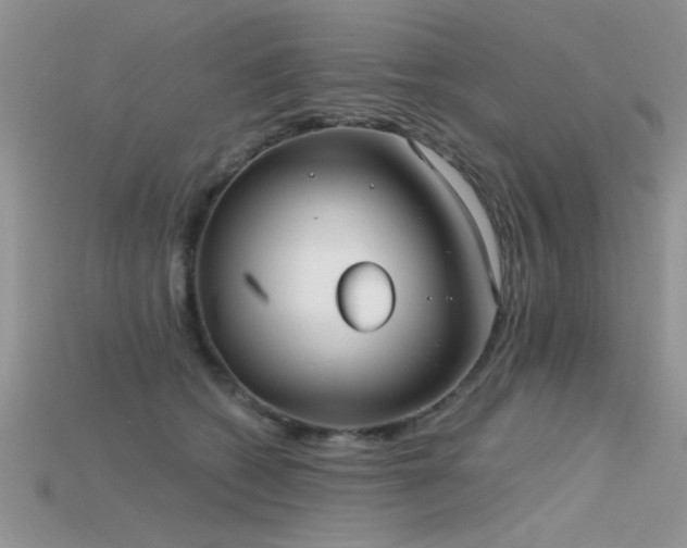X0000115670562200911121155