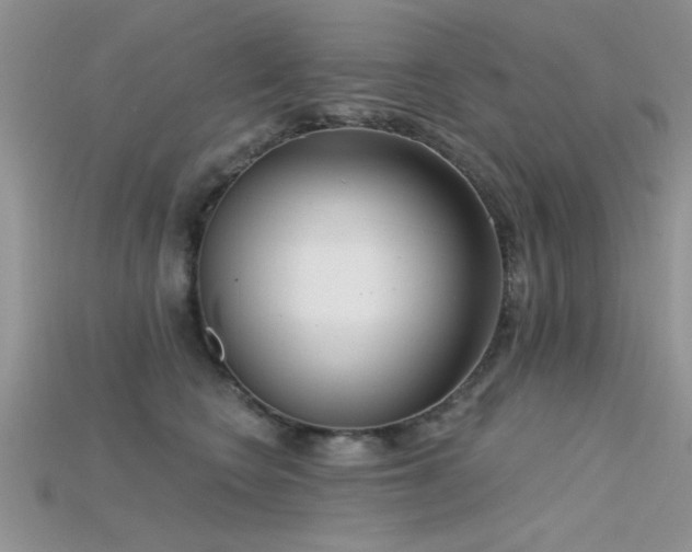 X0000115670566200911121155