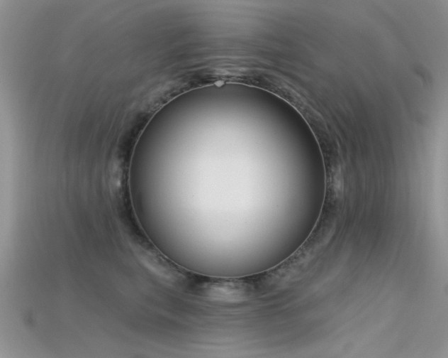 X0000115670567200911121155